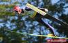 200 Anders Bardal